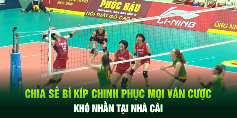 Chia sẻ bí kíp chinh phục mọi ván cược khó nhằn tại nhà cái