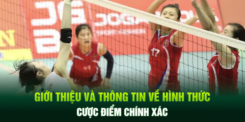 Giới thiệu về thông tin và hình thức cược điểm chính xác