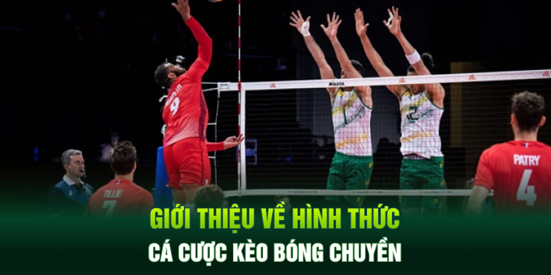 Giới thiệu về hình thức cá cược kèo bóng chuyền