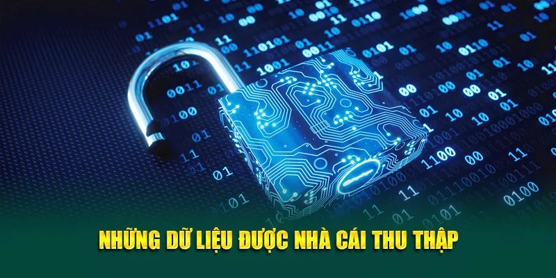 Những dữ liệu của hội viên được nhà cái thu thập